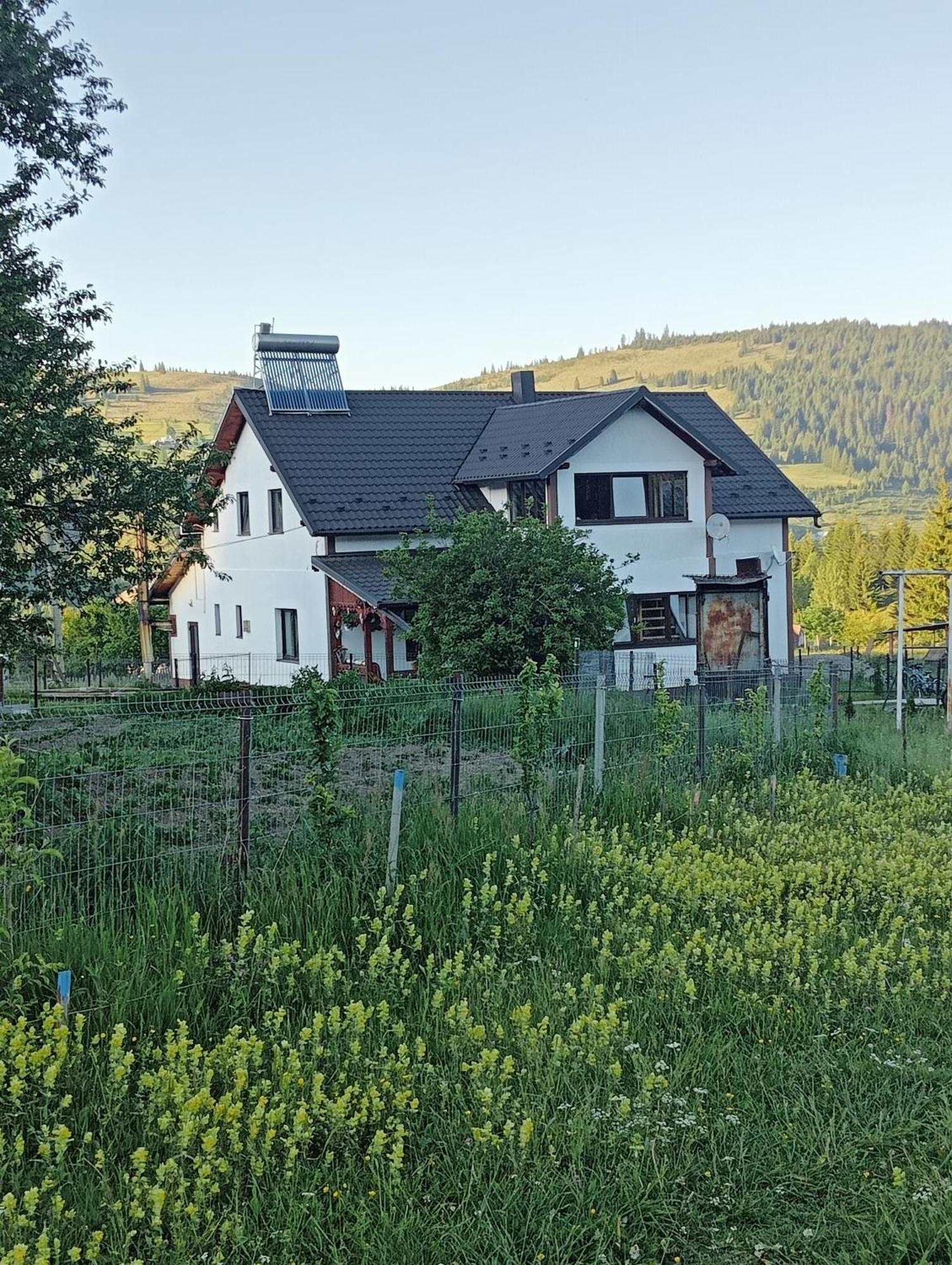 Casa Vasy Guest House Vatra Dornei Bagian luar foto